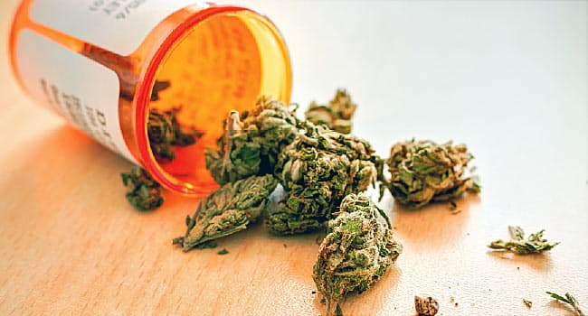 NJ PA Medical Cannabis Doctor